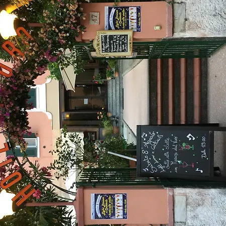 Flora